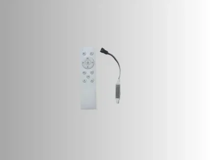 בקר DMX RGB