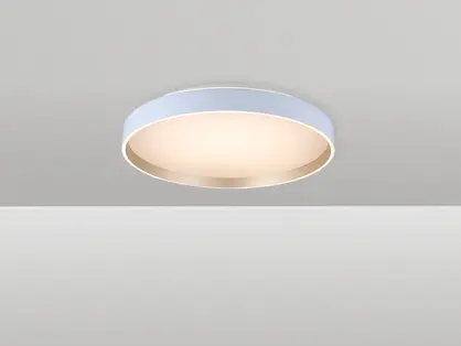 צמוד תקרה דאבל 60W