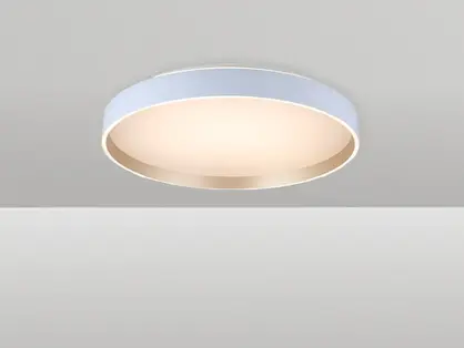 צמוד תקרה דאבל 115W