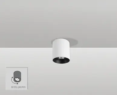 צילינדר מתכוונן וקטור 12W