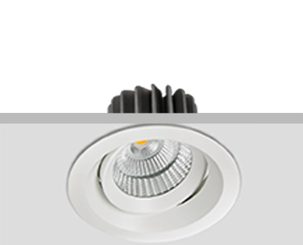 שקוע תקרה טום עגול 30W לבן 4200K גוף לבן