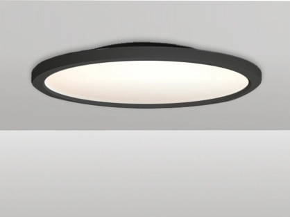 צמוד ת. פריזבי CCT 96W